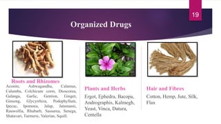 Organized Drugs
Roots and Rhizomes
Aconite, Ashwagandha, Calamus,
Calumba, Colchicum corm, Dioscorea,
Galanga, Garlic, Gention, Ginger,
Ginseng, Glycyrrhiza, Podophyllum,
Ipecac, Ipomoea, Jalap, Jatamansi,
Rauwolfia, Rhubarb, Sassurea, Senega,
Shatavari, Turmeric, Valerian, Squill.
Plants and Herbs
Ergot, Ephedra, Bacopa,
Andrographis, Kalmegh,
Yeast, Vinca, Datura,
Centella
Hair and Fibres
Cotton, Hemp, Jute, Silk,
Flax
19
 