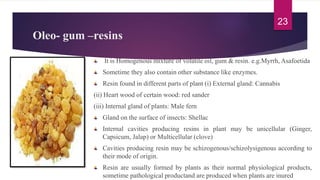 Oleo- gum –resins
It is Homogenous mixture of volatile oil, gum & resin. e.g.Myrrh, Asafoetida
Sometime they also contain other substance like enzymes.
Resin found in different parts of plant (i) External gland: Cannabis
(ii) Heart wood of certain wood: red sander
(iii) Internal gland of plants: Male fern
Gland on the surface of insects: Shellac
Internal cavities producing resins in plant may be unicellular (Ginger,
Capsicum, Jalap) or Multicellular (clove)
Cavities producing resin may be schizogenous/schizolysigenous according to
their mode of origin.
Resin are usually formed by plants as their normal physiological products,
sometime pathological productand are produced when plants are inured
23
 