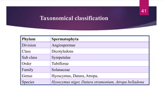 Taxonomical classification
Phylum Spermatophyta
Division Angiospermae
Class Dicotyledons
Sub class Sympetalae
Order Tubiflorae
Family Solanaceae
Genus Hyoscymus, Datura, Atropa,
Species Hyoscymus niger, Datura stramonium, Atropa belladona
41
 