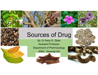 Sources of Drug
By. Dr Sarju R. Zilate
Assistant Professor
Department of Pharmacology
JNMC, Sawangi (M)
 