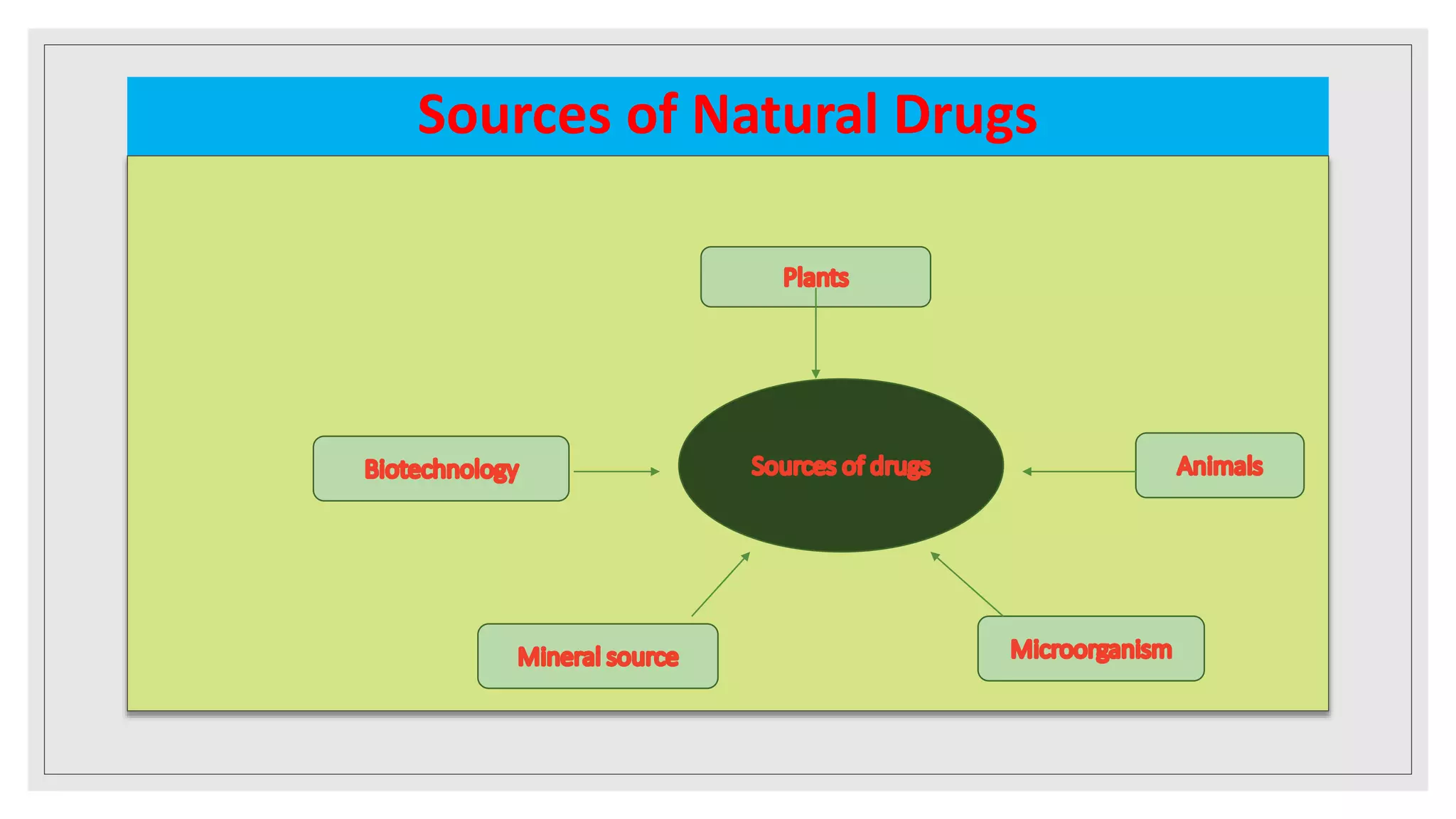 Sources of crude drugs