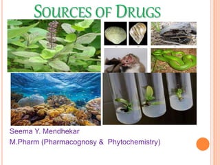 SOURCES OF DRUGS
Seema Y. Mendhekar
M.Pharm (Pharmacognosy & Phytochemistry)
 