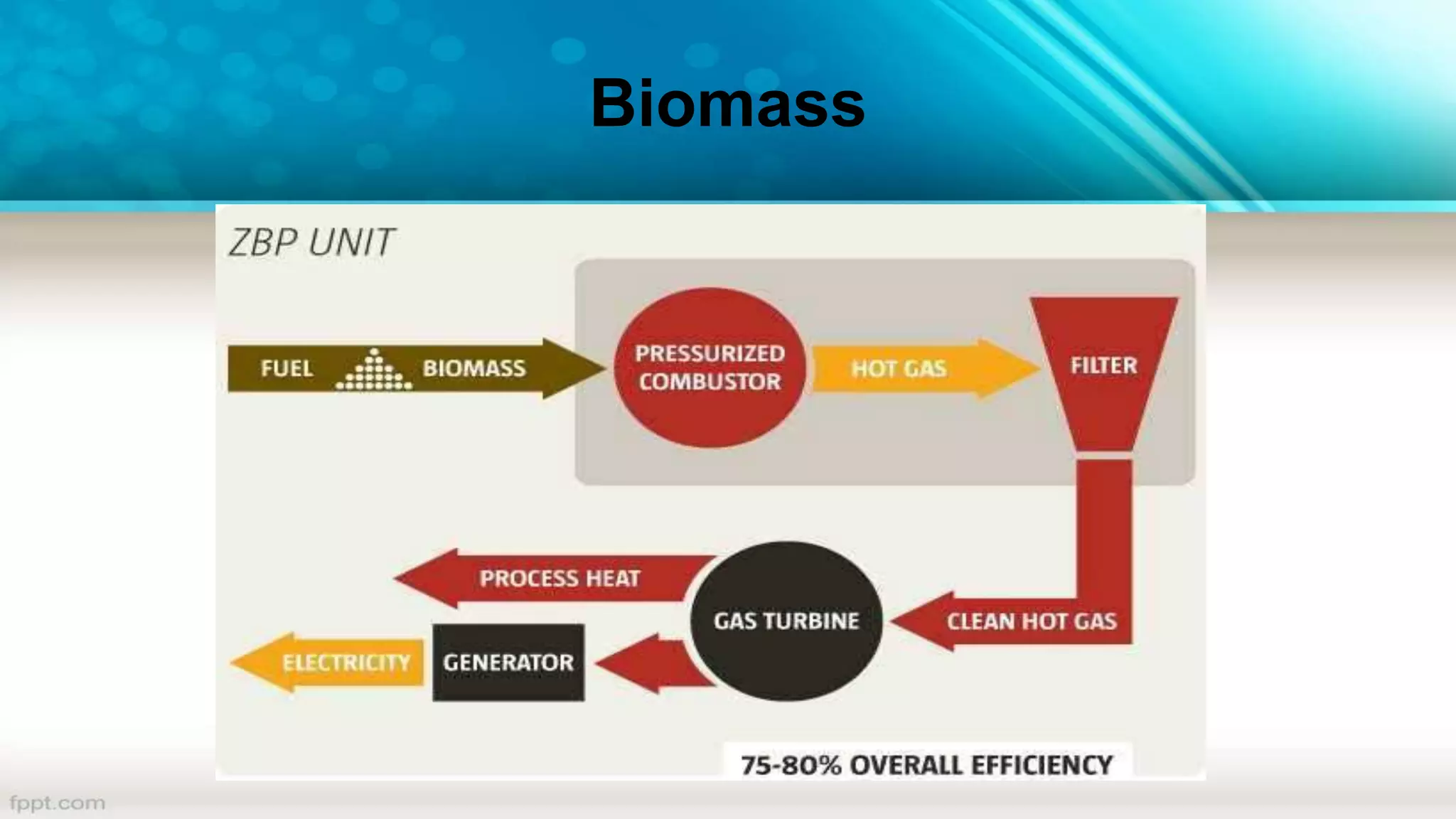 Biomass
 