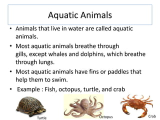 Aquatic Animals
• Animals that live in water are called aquatic
animals.
• Most aquatic animals breathe through
gills, exc...