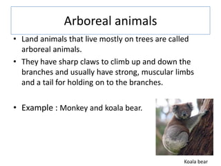 Arboreal animals
• Land animals that live mostly on trees are called
arboreal animals.
• They have sharp claws to climb up...