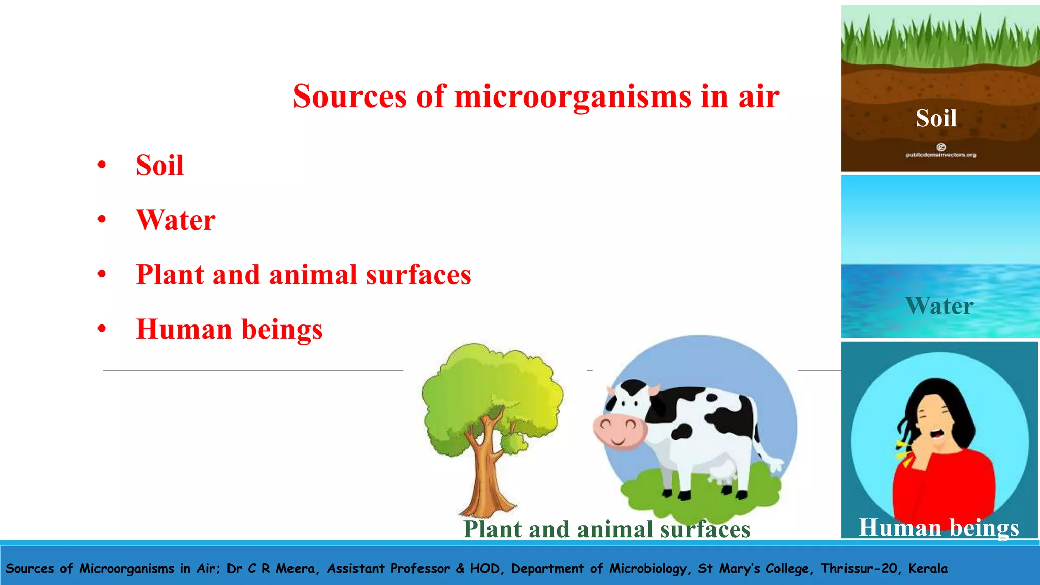 Sources of Microorganisms in Air; Dr C R Meera, Assistant Professor & HOD, Department of Microbiology, St Mary’s College, Thrissur-20, Kerala
• Soil
• Water
• Plant and animal surfaces
• Human beings
Sources of microorganisms in air
Soil
Water
Plant and animal surfaces Human beings
 