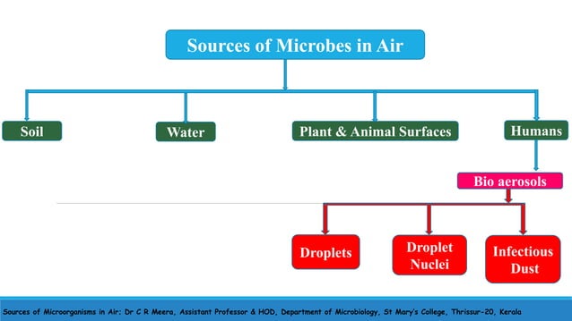 Sources of microorganisms in air | PPTX
