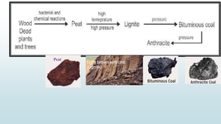 Sources of organic Compounds/Coal/CNG.pptx