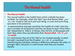 The Mursal Hadith
• The Mursal Hadith
• The mursal hadith is the hadith from which a Sahabi has been
omitted. For example, when the Tabi’i says that Rasool Allah ‫صلى‬
‫وسلم‬ ‫عليه‬ ‫هللا‬said or did such and such thing, or such and such thing
was done in his presence.
• A representative example would be the hadith of a tabi’i who has
met a number of companions and has sat down to learn from them
like ‘Ubaydullah b. ‘Adiy b. al-Khiyar, then Sa’id b. al-Musayyab and
their likes when they say (directly) that: Rasool Allah ‫عليه‬ ‫هللا‬ ‫صلى‬
‫وسلم‬said’.
• It is well known that all of the Tabi’un are treated equally, ie what
the tabi’i narrated from the Prophet ‫وسلم‬ ‫عليه‬ ‫هللا‬ ‫صلى‬without
mentioning the Sahabah, without a difference between the older or
younger tabi’I, because it is well known that they are treated
equally.
 