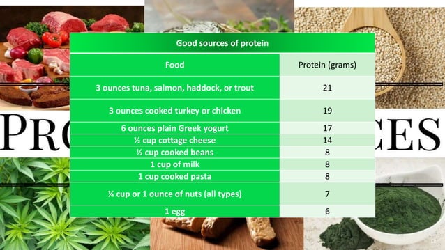 Simple Rda Food Sources & recommended dietary allowance (RDA) OF PROTEIN | PPTX