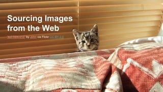 Sourcing Images
from the Web
“KITTEN 013” by John via Flickr CC BY 2.0
 