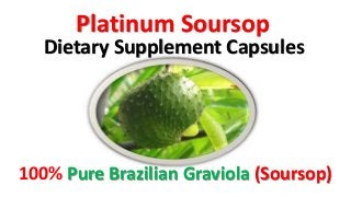 Platinum Soursop
Dietary Supplement Capsules
100% Pure Brazilian Graviola (Soursop)
 