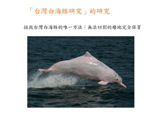 拯救台灣白海豚的唯一方法：無法切割的棲地完全保育 「台灣白海豚研究」的研究 