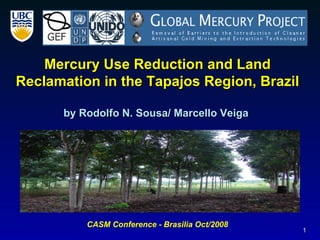 Mercury Use Reduction and Land Reclamation in the Tapajos Region, Brazil by Rodolfo N. Sousa/ Marcello Veiga  CASM Conference - Brasilia Oct/2008 
