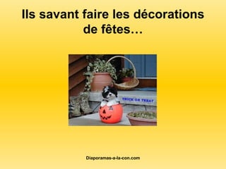 Ils savant faire les décorations de fêtes… 