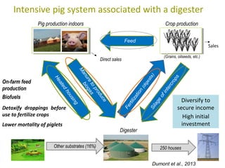 Integration with livestock | PPT