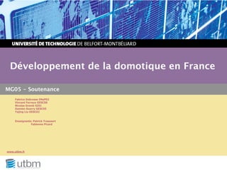 Développement de la domotique en France

MG05 - Soutenance
     Fabrice Debrosse IMaP02
     Vincent Ferreux GESC06
     Nicolas Grenié GI01
     Damien Guerry GESC05
     Yajing Liu GESC02


     Enseignants: Patrick Trassaert
                Fabienne Picard




www.utbm.fr
 