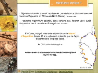 En Corse, malgré une forte expansion de la fourmi
d’Argentine depuis 10 ans, elle n’est présente que de façon
discontinue le long des côtes.
BLIGHT et al. 2009
 Distribution hétérogène
Absence de co-occurrence avec des fourmis du genre
Tapinoma spp.
- Tapinoma simrothi pourrait représenter une résistance biotique face aux
fourmis d’Argentine en Afrique du Nord (Maroc) : BERNARD 1968
- Tapinoma nigerrimum pourrait, dans certains cas, ralentir voire éviter
l’expansion des L. humile au Portugal : WAY et al. 1997
23
 