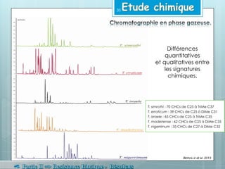 Différences
quantitatives
et qualitatives entre
les signatures
chimiques.
T. simrothi : 70 CHCs de C25 à TriMe C37
T. erraticum : 39 CHCs de C25 à DiMe C31
T. israele : 65 CHCs de C25 à TriMe C35
T. madeirense : 62 CHCs de C25 à DiMe C35
T. nigerrimum : 35 CHCs de C27 à DiMe C32
BERVILLE et al. 2013
35
 
