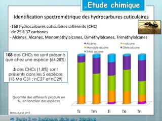 Identification spectrométrique des hydrocarbures cuticulaires
-168 hydrocarbures cuticulaires différents (CHC)
-de 25 à 37 carbones
- Alcènes, Alcanes, Monométhylalcanes, Diméthylalcanes, Triméthylalcanes
108 des CHCs ne sont présents
que chez une espèce (64,28%)
3 des CHCs (1,8%) sont
présents dans les 5 espèces
(13 Me C31 ; nC27 et nC29)
Ts Tm Ti Te Tn
Alcène n-alcane
MonoMe alcane DiMe alcane
TriMe alcane
Quantité des différents produits en
%, en fonction des espèces
BERVILLE et al. 2013
36
 