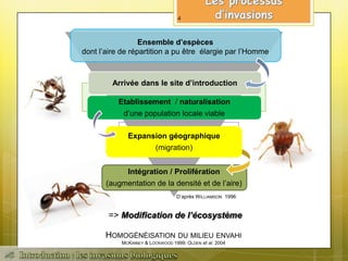HOMOGÉNÉISATION DU MILIEU ENVAHI
MCKINNEY & LOCKWOOD 1999; OLDEN et al. 2004
Ensemble d’espèces
dont l’aire de répartition a pu être élargie par l’Homme
Intégration / Prolifération
(augmentation de la densité et de l’aire)
D’après WILLIAMSON 1996
Expansion géographique
(migration)
Arrivée dans le site d’introduction
Etablissement / naturalisation
d’une population locale viable
=> Modification de l’écosystème
4
 