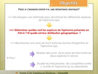 ==> Déterminer quelles sont les espèces de Tapinoma présentes en
PACA ? Et quelle est leur distribution géographique ?
Réaliser des suivis de la zone de front entre les
deux espèces in natura
Etudier les mécanismes de compétition entre
L. humile et Tapinoma sp au laboratoire
==> Rechercher une zone de front entre les fourmis d'Argentine et
Tapinoma spp.
FACE À L’INVASION EXISTE-T-IL UNE RÉSISTANCE BIOTIQUE?
==> Développer une méthode pour discriminer les différentes espèces
de Tapinoma spp.
40
 Pour :
 
