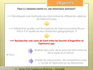 ==> Déterminer quelles sont les espèces de Tapinoma présentes en
PACA ? Et quelle est leur distribution géographique ?
Réaliser des suivis de la zone de front entre les
deux espèces in natura
Etudier les mécanismes de compétition entre
L. humile et Tapinoma sp au laboratoire
==> Rechercher une zone de front entre les fourmis d'Argentine et
Tapinoma spp.
FACE À L’INVASION EXISTE-T-IL UNE RÉSISTANCE BIOTIQUE?
==> Développer une méthode pour discriminer les différentes espèces
de Tapinoma spp.
42
 Pour :
 