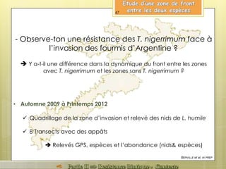 - Observe-ton une résistance des T. nigerrimum face à
l’invasion des fourmis d’Argentine ?
 Y a-t-il une différence dans la dynamique du front entre les zones
avec T. nigerrimum et les zones sans T. nigerrimum ?
• Automne 2009 à Printemps 2012
 Quadrillage de la zone d’invasion et relevé des nids de L. humile
 8 Transects avec des appâts
 Relevés GPS, espèces et l’abondance (nids& espèces)
BERVILLE et al, IN PREP
47
 