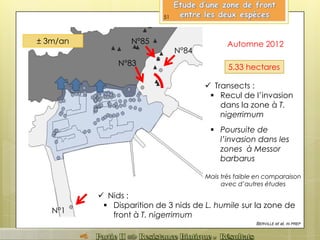 Automne 2012
5.33 hectares
± 3m/an
 Transects :
 Recul de l’invasion
dans la zone à T.
nigerrimum
 Poursuite de
l’invasion dans les
zones à Messor
barbarus
Mais très faible en comparaison
avec d’autres études
BERVILLE et al, IN PREP
51
 Nids :
 Disparition de 3 nids de L. humile sur la zone de
front à T. nigerrimum
N°1
N°84
N°85
N°83
 