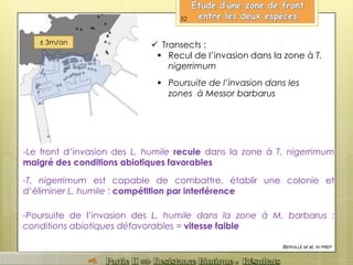± 3m/an  Transects :
 Recul de l’invasion dans la zone à T.
nigerrimum
 Poursuite de l’invasion dans les
zones à Messor barbarus
BERVILLE et al, IN PREP
-Le front d’invasion des L. humile recule dans la zone à T. nigerrimum
malgré des conditions abiotiques favorables
52
-T. nigerrimum est capable de combattre, établir une colonie et
d’éliminer L. humile : compétition par interférence
-Poursuite de l’invasion des L. humile dans la zone à M. barbarus :
conditions abiotiques défavorables = vitesse faible
 