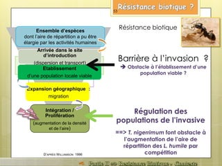 Ensemble d’espèces
dont l’aire de répartition a pu être
élargie par les activités humaines
Expansion géographique :
migration
Intégration /
Prolifération
(augmentation de la densité
et de l’aire)
D’APRÈS WILLIAMSON 1996
Résistance biotique
Régulation des
populations de l’invasive
==> T. nigerrimum font obstacle à
l’augmentation de l’aire de
répartition des L. humile par
compétition
Barrière à l’invasion ?
 Obstacle à l’établissement d’une
population viable ?
Arrivée dans le site
d’introduction
(dispersion et transport)
Etablissement
d’une population locale viable
53
 