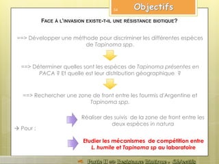 ==> Déterminer quelles sont les espèces de Tapinoma présentes en
PACA ? Et quelle est leur distribution géographique ?
Réaliser des suivis de la zone de front entre les
deux espèces in natura
Etudier les mécanismes de compétition entre
L. humile et Tapinoma sp au laboratoire
==> Rechercher une zone de front entre les fourmis d'Argentine et
Tapinoma spp.
FACE À L’INVASION EXISTE-T-IL UNE RÉSISTANCE BIOTIQUE?
==> Développer une méthode pour discriminer les différentes espèces
de Tapinoma spp.
54
 Pour :
 