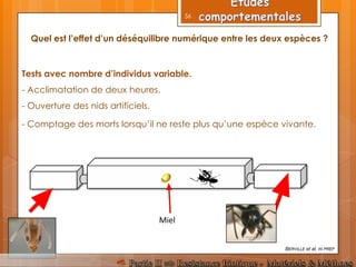 Quel est l’effet d’un déséquilibre numérique entre les deux espèces ?
Miel
Tests avec nombre d’individus variable.
- Acclimatation de deux heures.
- Ouverture des nids artificiels.
- Comptage des morts lorsqu’il ne reste plus qu’une espèce vivante.
BERVILLE et al, IN PREP
56
 