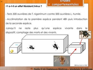 •Y a-t-il un effet Résident/Intrus ?
-Lorsqu’il ne reste plus qu’une espèce vivante dans le
dispositif, comptage des morts et des vivants.
- Tests 500 ouvrières de T. nigerrimum contre 500 ouvrières L. humile.
- Acclimatation de la première espèce pendant 48h puis introduction
de la seconde espèce.
BERVILLE et al, IN PREP
58
58
 