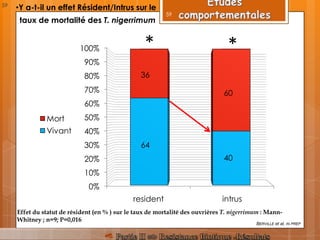 •Y a-t-il un effet Résident/Intrus sur le
0%
10%
20%
30%
40%
50%
60%
70%
80%
90%
100%
resident intrus
Mort
Vivant
**
Effet du statut de résident (en % ) sur le taux de mortalité des ouvrières T. nigerrimum : Mann-
Whitney ; n=9; P=0,016
36
60
64
40
BERVILLE et al, IN PREP
taux de mortalité des T. nigerrimum
59
59
 