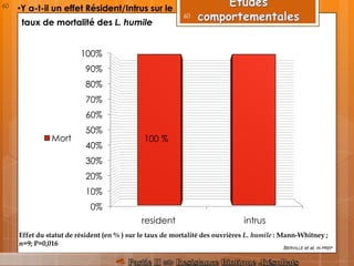 0%
10%
20%
30%
40%
50%
60%
70%
80%
90%
100%
resident intrus
Mort
Effet du statut de résident (en % ) sur le taux de mortalité des ouvrières L. humile : Mann-Whitney ;
n=9; P=0,016
100 %
BERVILLE et al, IN PREP
•Y a-t-il un effet Résident/Intrus sur le
taux de mortalité des L. humile
60
60
 