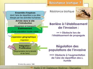 Ensemble d’espèces
dont l’aire de répartition a pu être
élargie par les activités humaines
Expansion géographique :
migration
Intégration /
Prolifération
(augmentation de la densité
et de l’aire)
D’APRÈS WILLIAMSON 1996
Résistance biotique
Régulation des
populations de l’invasive
==> Obstacle à l’augmentation
de l’aire de répartition des L.
humile
Barrière à l’établissement
de l’invasion :
== > Obstacle lors de
l’établissement de propagule
Arrivée dans le site
d’introduction
(dispersion et transport)
Etablissement
d’une population locale viable
62
 