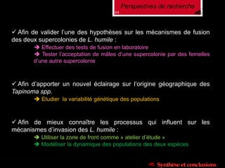  Afin d’apporter un nouvel éclairage sur l’origine géographique des
Tapinoma spp.
 Etudier la variabilité génétique des populations
Perspectives de recherche
 Afin de mieux connaître les processus qui influent sur les
mécanismes d’invasion des L. humile :
 Utiliser la zone de front comme « atelier d’étude »
 Modéliser la dynamique des populations des deux espèces
64
 Afin de valider l’une des hypothèses sur les mécanismes de fusion
des deux supercolonies de L. humile :
 Effectuer des tests de fusion en laboratoire
 Tester l’acceptation de mâles d’une supercolonie par des femelles
d’une autre supercolonie
 