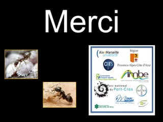Merci
 