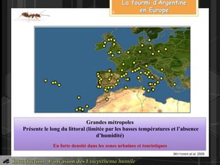 Carte : 1 http://www.discoverlife.org/20/m?kind=Linepithema+humile
Grandes métropoles
Présente le long du littoral (limitée par les basses températures et l’absence
d’humidité)
En forte densité dans les zones urbaines et touristiques
WETTERER et al. 2009
8
 
