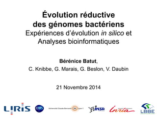 Évolution réductive
des génomes bactériens
Expériences d’évolution in silico et
Analyses bioinformatiques
Bérénice Batut,
C. Knibbe, G. Marais, G. Beslon, V. Daubin
21 Novembre 2014
 