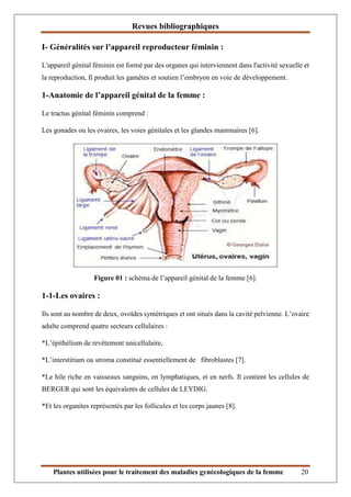 Revues bibliographiques
Plantes utilisées pour le traitement des maladies gynécologiques de la femme 20
Ι- Généralités sur...