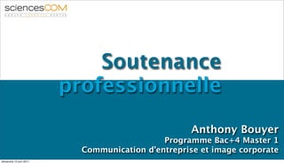 Soutenance
                        professionnelle

                                                   Anthony Bouyer
                                            Programme Bac+4 Master 1
                          Communication d’entreprise et image corporate
dimanche 12 juin 2011
 