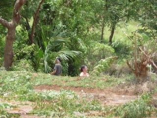 15Maëlle Thueux - Jugaad & Paysage - architecture du paysage - 2015
Photo: Crespin, D. , Anthimanjeri, 2015
 