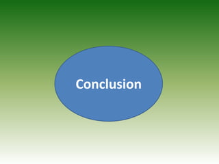 Conclusion