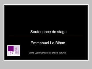 Soutenance de stage Emmanuel Le Bihan 3ème Cycle Conduite de projets culturels  