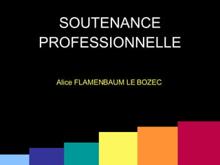 SOUTENANCE PROFESSIONNELLE Alice FLAMENBAUM LE BOZEC   