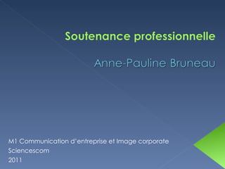 M1 Communication d’entreprise et Image corporate Sciencescom  2011 