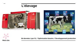 L’élevage
80 données J par VL / Optimisation besoins / Developpement production
Mots clés
 