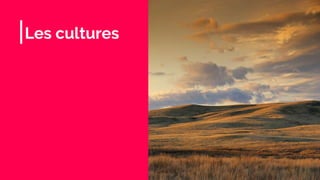 Les cultures
 